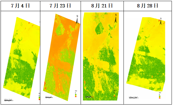 Science and Agriculture Protection - Satellite Remote Sensing Helps with Agricultural Insurance Loss Assessment